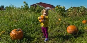 Little Girl holding a Pumpkin on a Pumpkin Patch